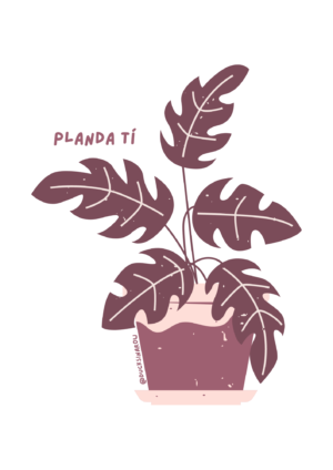 Planda Tí